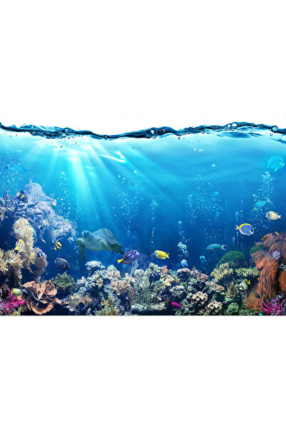 VIODESIGN Fototapet peisaj, autoadeziv, Acvatic Pesti , multicolor, 120x200 c...