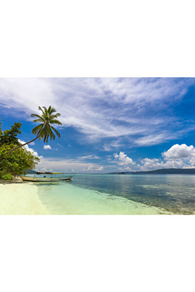 VIODESIGN Landscape photo wallpaper, self-adhesive, Beach, multicolor, 80x120...