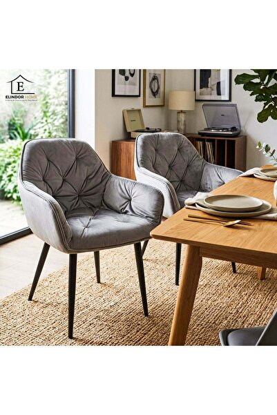 Elindor Set of 2 Elindor® Ergonomic Chairs, Contemporary Design, Chair with B...