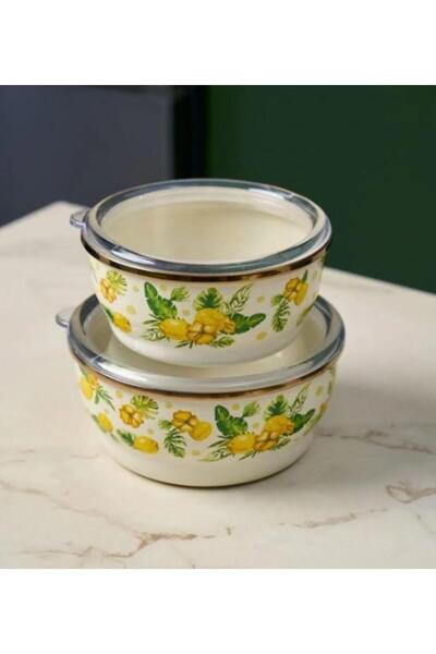 Miss Betty 9878 Citrus 2-Piece Storage Container