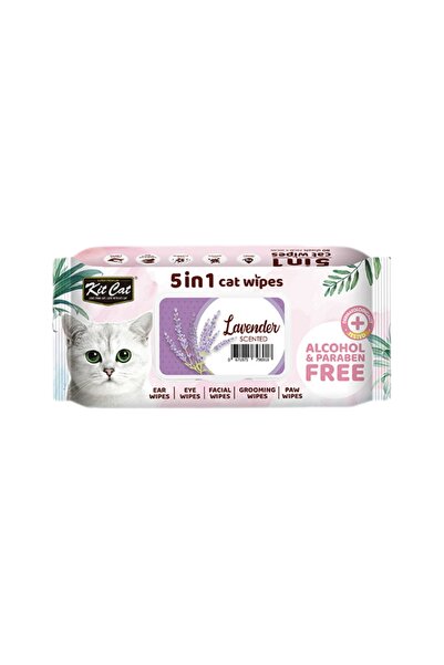 Kit Cat كت كات مناديل معطرة برائحة اللافندر 80 منديل