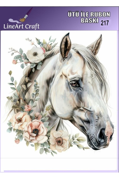 LİNEART طباعة روبون بالكيماويات الكيميائية (الاستيرويدات) قابلة للكي