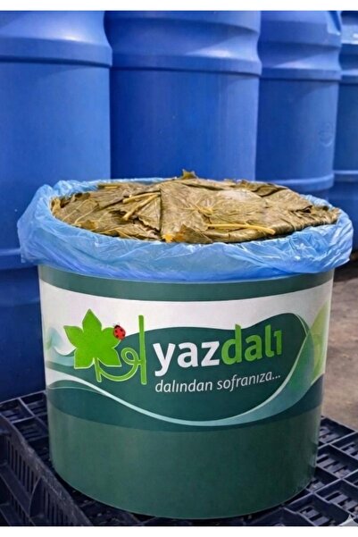 yazdalı 18 litre kovada Net 12 Kg Salamura Yaprak.