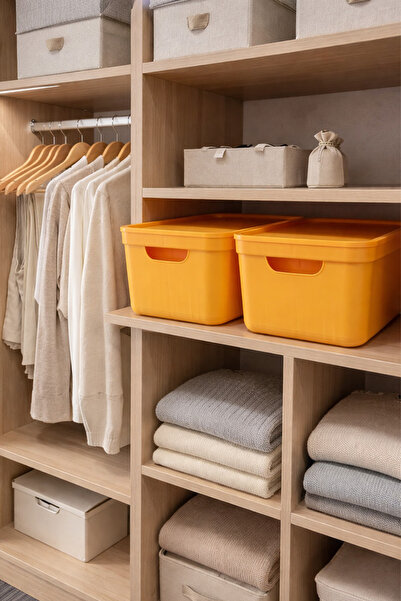 Kitchen Life Aura 2-Piece Multi-Purpose Storage Container with Lid Closet Org...