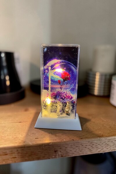 CaactuStore Sokak Lambalı Işıklı Kar Küresi 3 Farklı Işık Modu Dekoratif hedi...