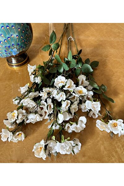 Lucky Art 6lı Krem Gelincik Dalı