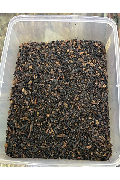 USAMA PERFUMES I AL HAFIZ OUD Mabsus Slala Bukhoor with Amazing Aroma continu...