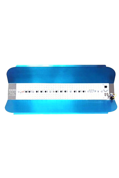 XL 80W Reflector Spotlight with 2 Batteries