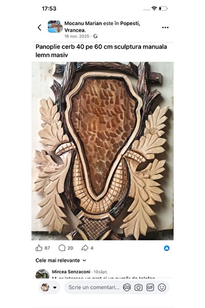 OAE Panoplii căprior