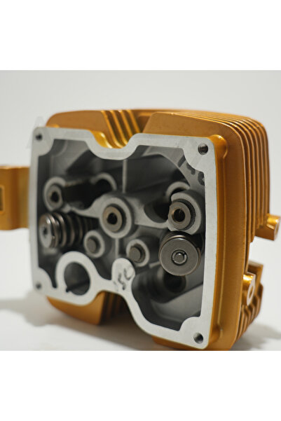 Azm CG 150 ÜST KAPAK GOLD ÇİTA