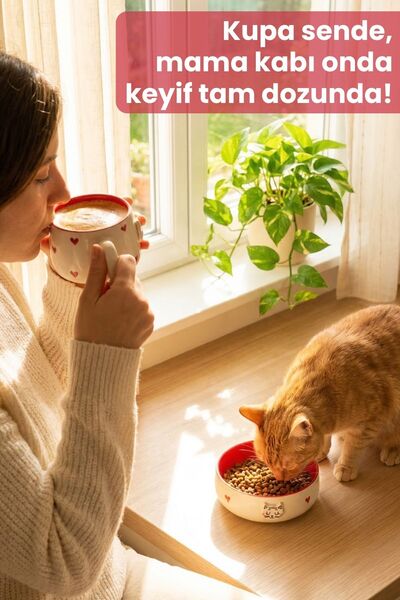 Pawicci Seramik Kedi Mama Kabı ve Kupa Seti – Kedi Desenli Mama Kabı, Kedili Bardak ve Mama Kasesi Seti