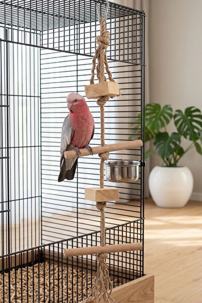 Mivra Pets Doğal Papağan Oyuncağı Ahşap Tırmanma Merdiveni Gaga Törpü Stres A...