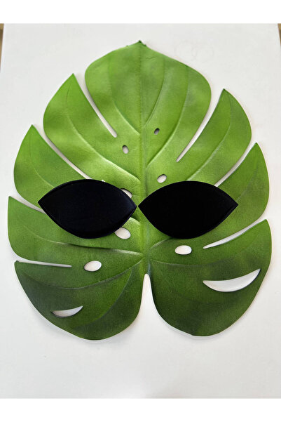 CUPSEA Padded Eye Push up Black Color Bra Bikini Padding New