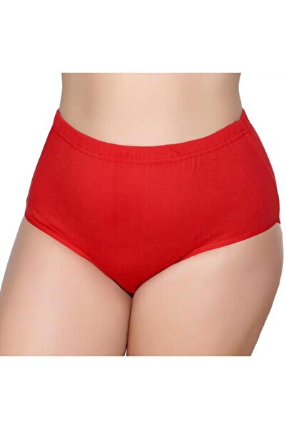 GÜMÜŞ 3-Piece Women's Bato Panties with Elastic Silver 3040-3041