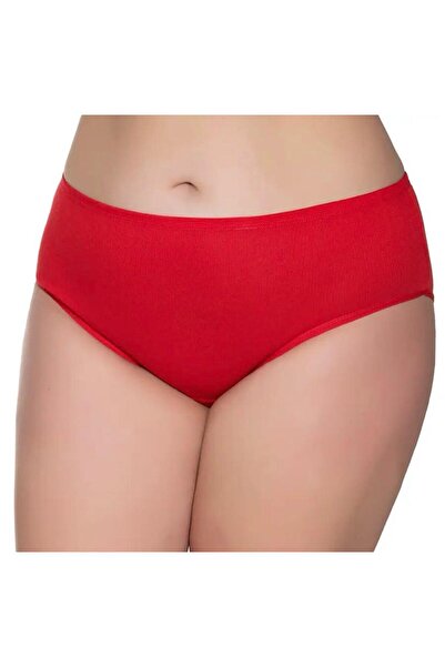 Sedef 3-Pack Women's Thin Elastic Bato Panties - 1047