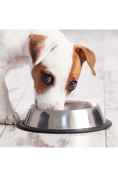 ART Μεταλλικό μπολ τροφής για κατοικίδια - 15 εκ.