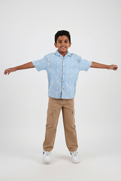 SOULTAN Summer Half-Sleeve Shirt For Boys
