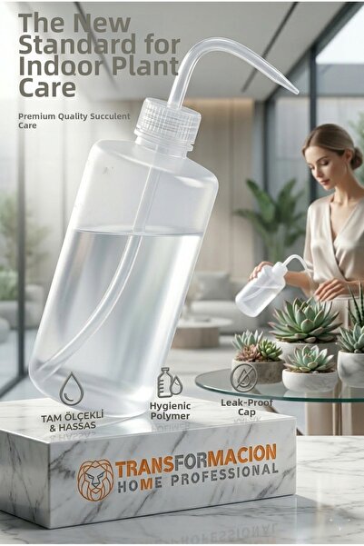 HomeCare 715726 Model de sticlă pentru bonsai cu cactus suculent