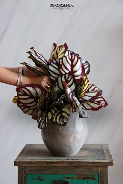 Dekorsende سرج الثعبان الاصطناعي 32 سم