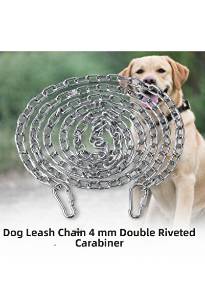 Vi Caro 10 Meters Dog Tie Chain 3 mm Walking Chain + 2 Screwed Carabiners Ste...