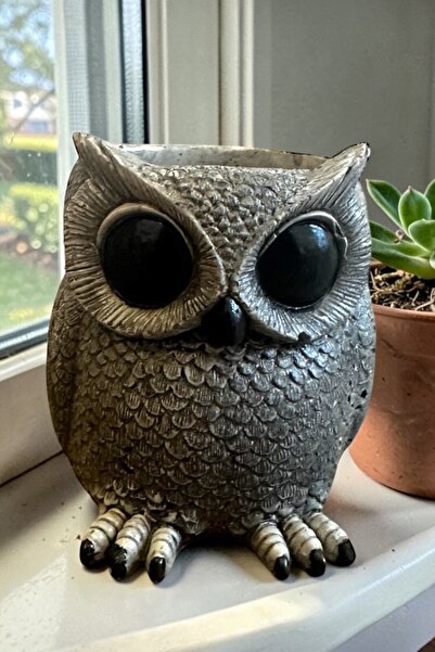 libre design Dekoratif 11 cm Gri Baykuş Kaktüs Sukulent Saksı Ev Balkon Bahçe...