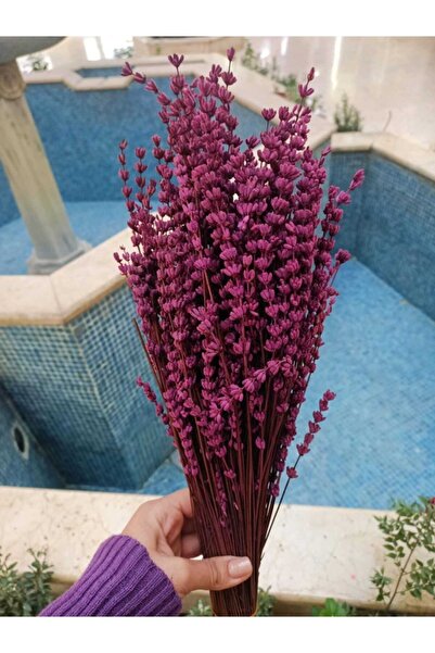 ALA AKTAR Şoklanmış Lavanta 150 Gram.