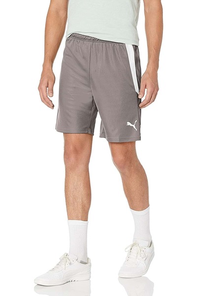 Puma 704924 Teamliga Shorts Erkek Futbol Şortu GRİ
