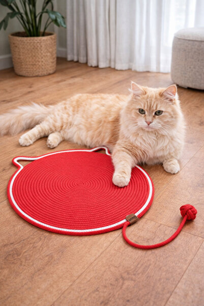 Quun EMSE Cat Play - Scratching Carpet and Mat