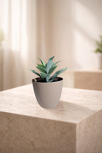 nftart.design نباتات صبارية ونباتات عصارية اصطناعية في أصيص