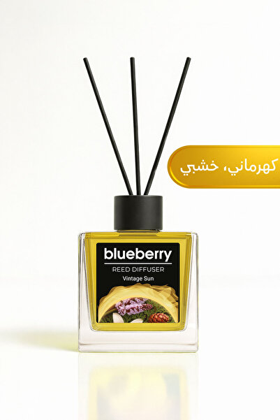 Blueberry Vintage Sun Reed Diffuser 100 ml