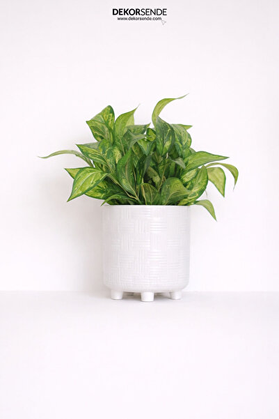 Dekorsende Ghirlandă Artificială Maranta 40 Cm