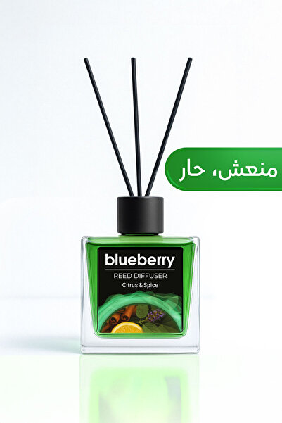 Blueberry Citrus & Spice Reed Diffuser 100 ml