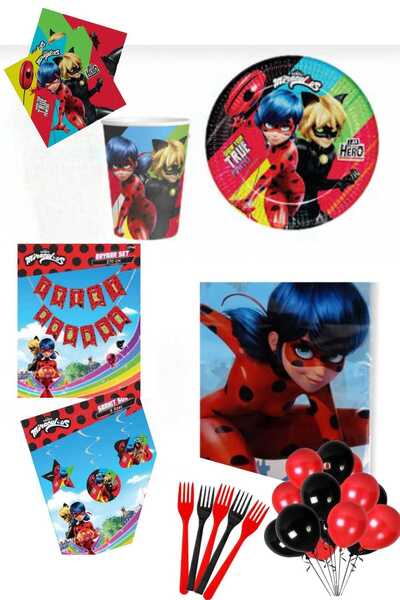 Pink Party Concept Mucize Uğur Böceği Ve Kara Kedi Miraculous Doğum Günü Part...