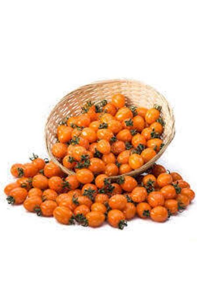 ata tohumculuk 5 Adet Tropikal Nadir Turuncu Çeri Domates Tohumu