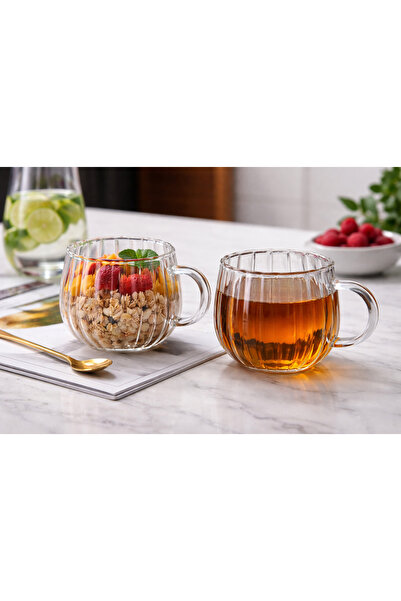 ARVALE Çizo 2 Adet 400 ml Ateşe Temas Edebilen Borosilikat Kupa Çizgi Tasarım...