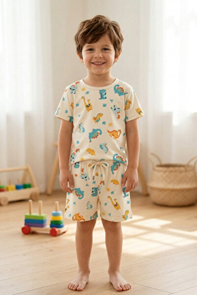 Boys Dinosaur Pattern Summer T-Shirt Shorts Set