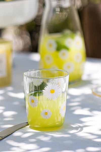 Rakle طقم زجاج ماء فيونا 4 قطع 315 سم مكعب