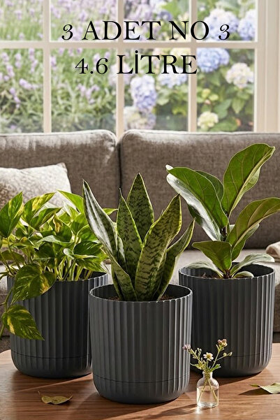 Zeraf Pot No:3-3 Pieces 4.6 Liter Table with Plate and Table Top Pot (Suitable for Home Office and Dental Space)