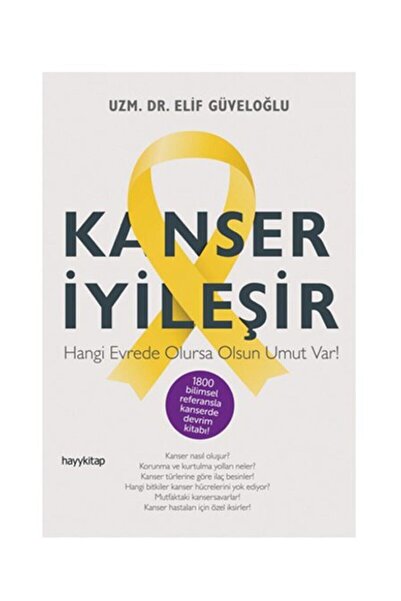 hayykitap İyileşir Elif Güveloğlu 9786055181765