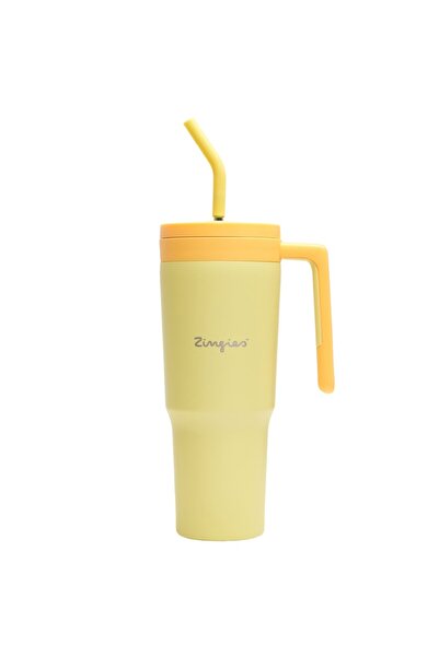 Zingies Ποτήρι Yuki από ανοξείδωτο ατσάλι με λαβή, καλαμάκι και δοχείο φρούτω...