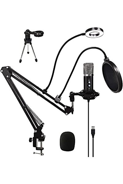 Arabest Microphone Audio Recording Studio, with Microphone Windshield Cantile...