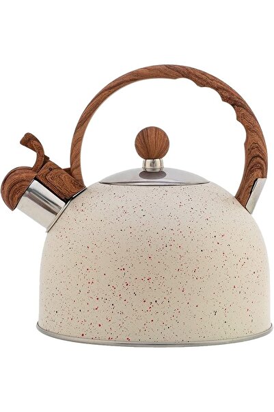 Arabest Tea Kettle, Stainless Steel Stovetop Teapot, 2.5L Whistling Kettle, B...