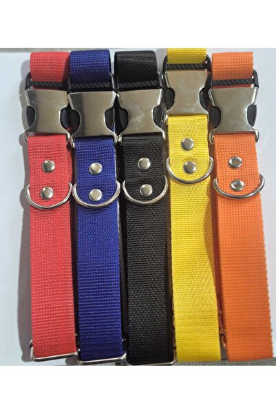 Loyal Friend Store köpek tasma 5li set (35cm45cm)