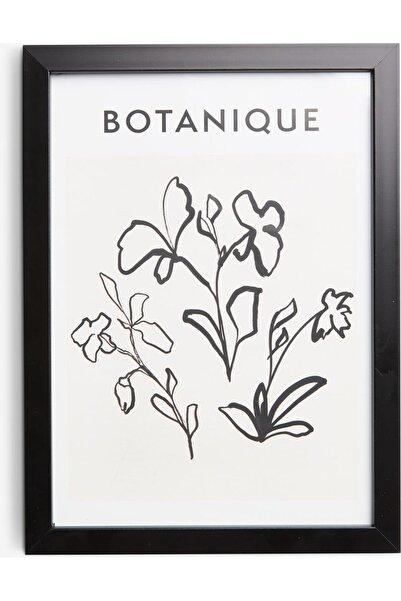 RootRise إطار صور فالتر مقاس 15×21 سم باللون الأسود