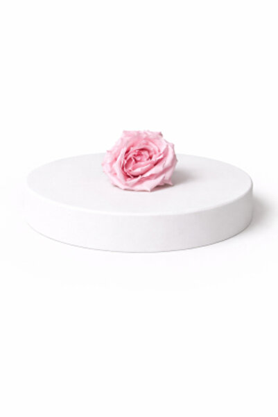 FantezieCuLicheni Majolica cryogenic rose – natural decorative flower