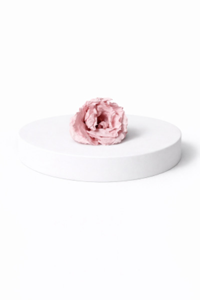 FantezieCuLicheni Majolica cryogenic rose – natural decorative flower