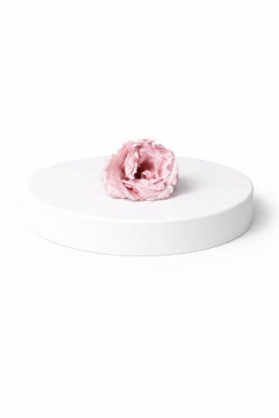 FantezieCuLicheni Majolica cryogenic rose – natural decorative flower