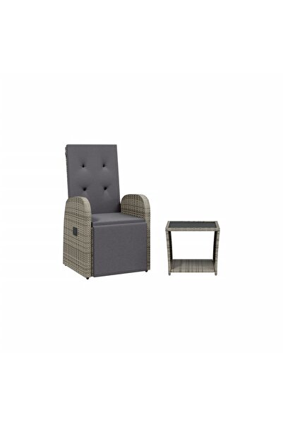vidaxl Set mobilier de grădină cu perne, 2 piese, gri, poliratan