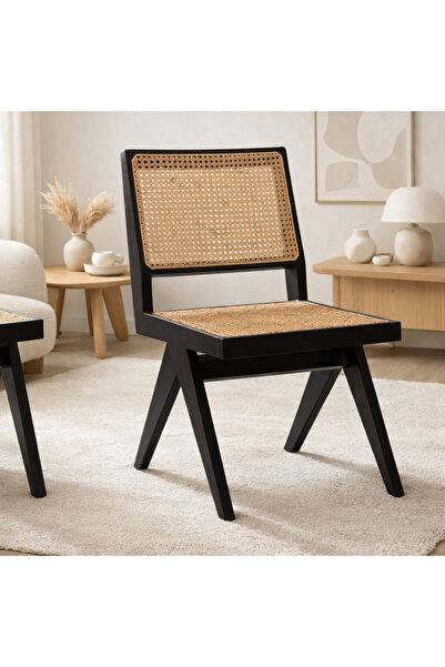 Generic BADHERI DINING CHAIR