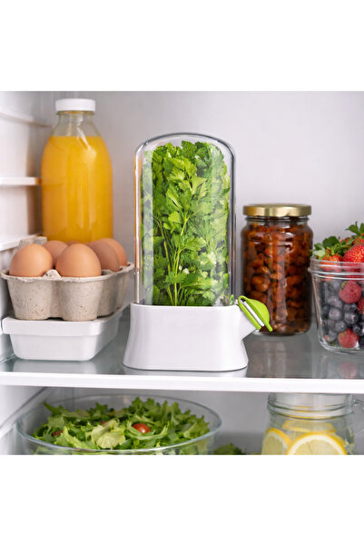 PriStyle Suport pentru Pastrarea Plantelor Proaspete la Frigider cu Capac Tra...